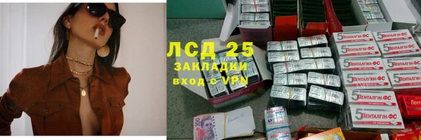 гидропоника Алзамай