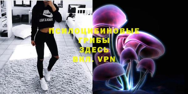 индика Беслан
